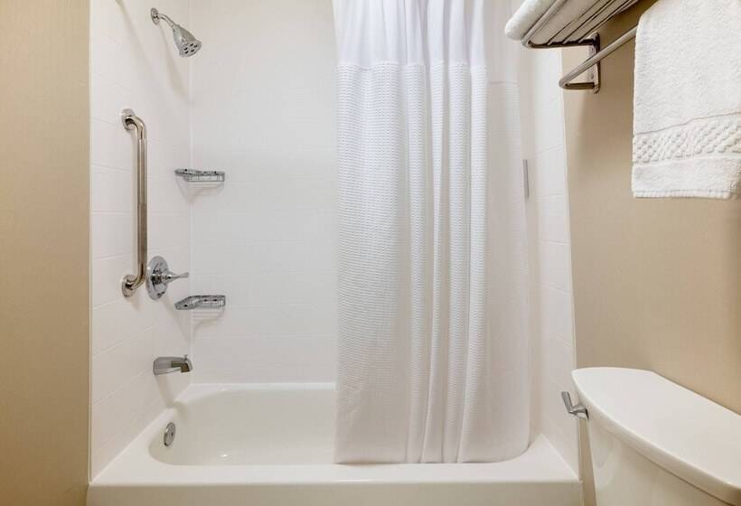 سوییت جونیور, Springhill Suites By Marriott Williamsburg