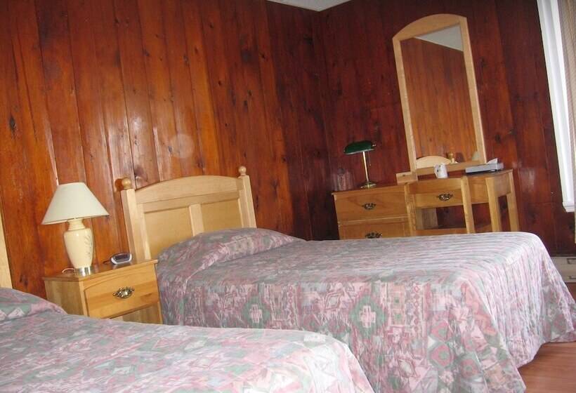 اتاق استاندارد, Motel Georges