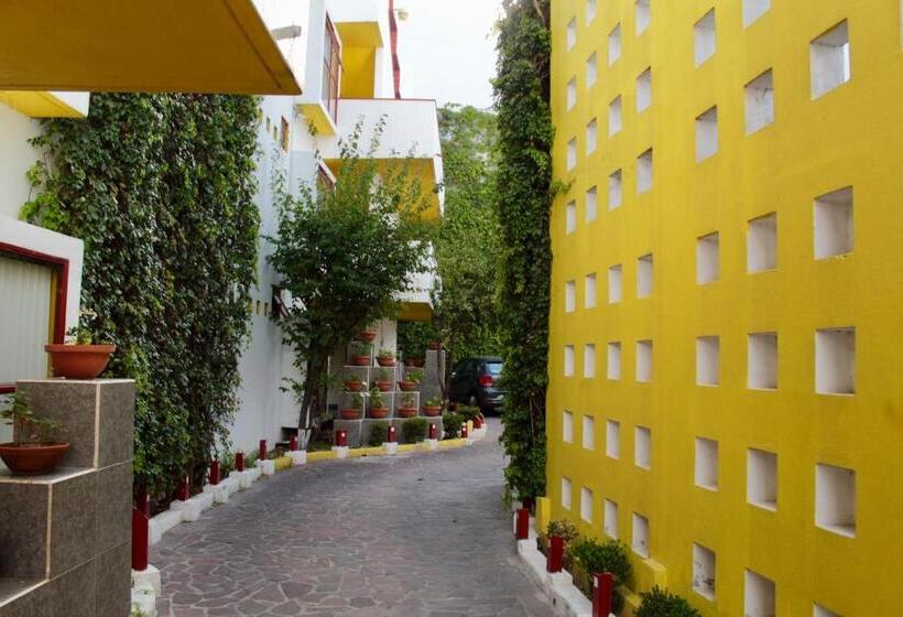 اتاق لوکس, Inmotega   Suites Tg