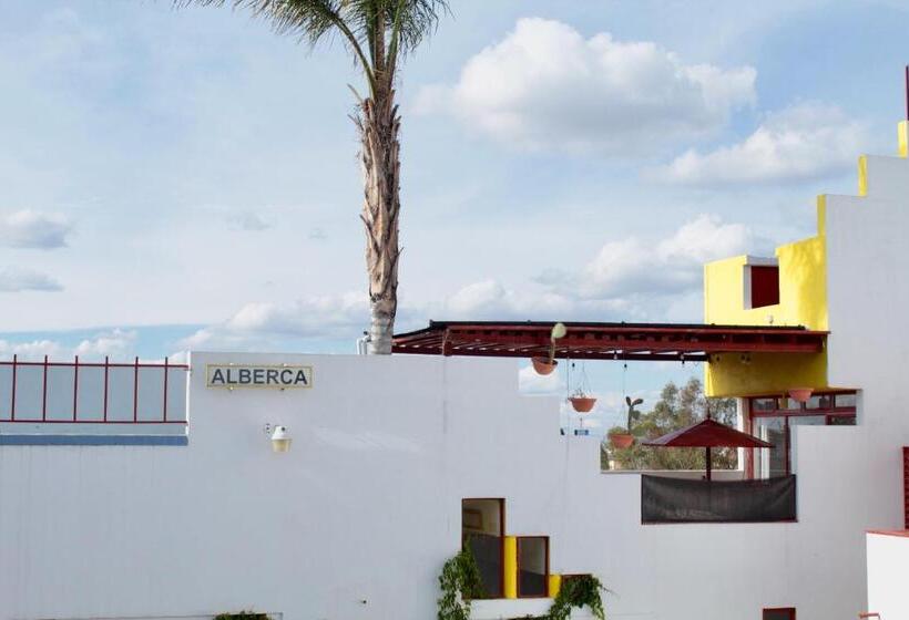 اتاق اکونومی, Inmotega   Suites Tg