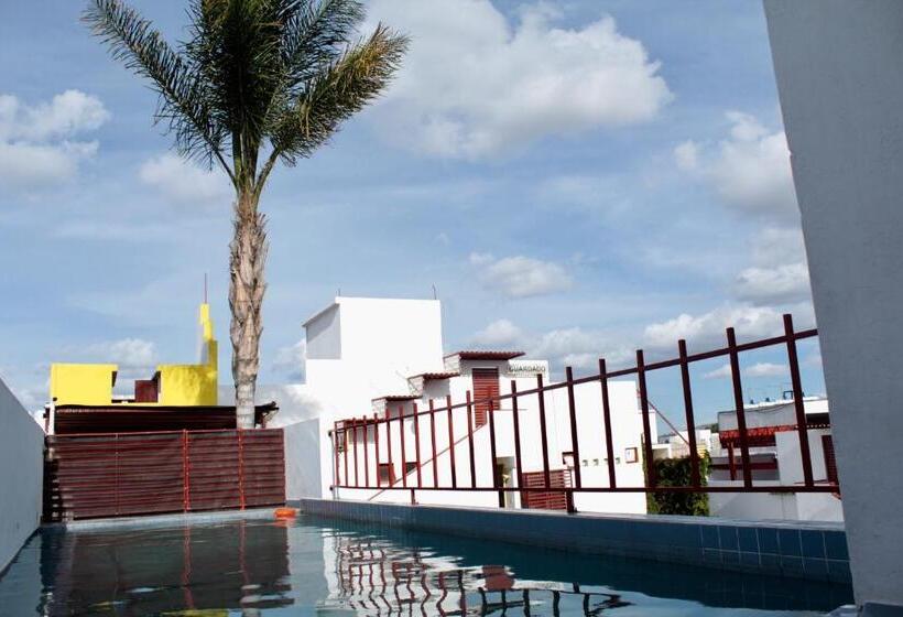 اتاق اکونومی, Inmotega   Suites Tg