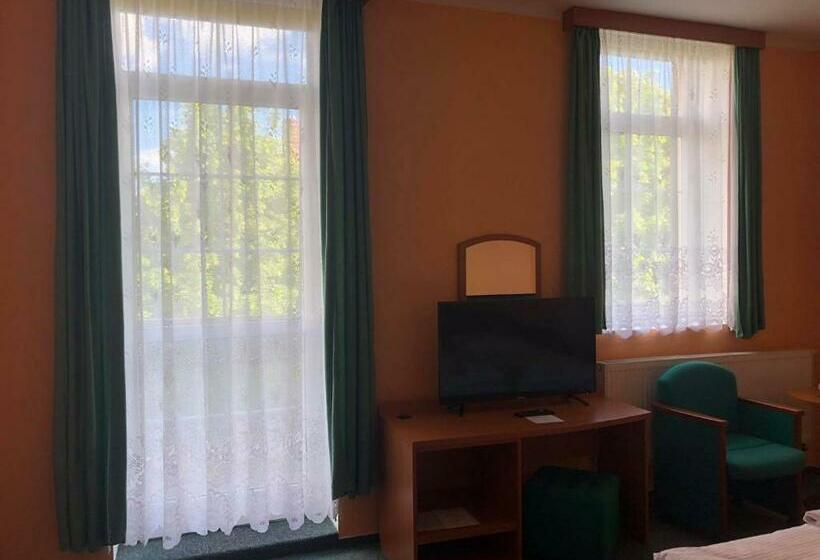 اتاق استاندارد سه نفره, Grandhotel Pražák