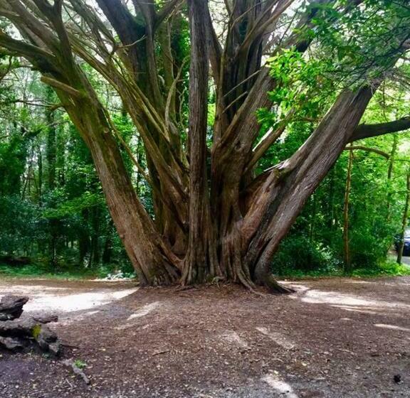 آپارتمان 1 خوابه با چشم‌انداز دریا, Abbeycourt Kenmare Kerry