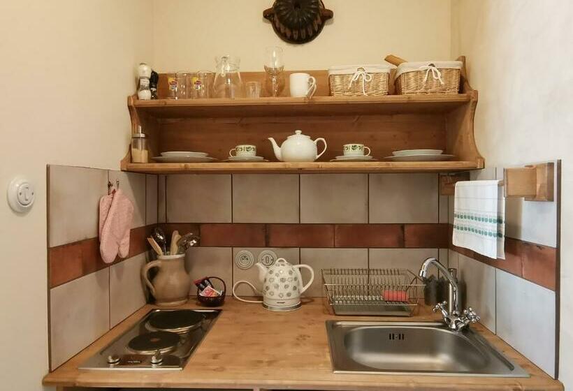 آپارتمان 1 خوابه, Apartmány U Koudelníka