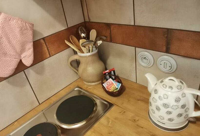 آپارتمان 1 خوابه, Apartmány U Koudelníka