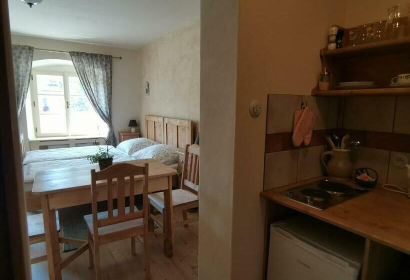 آپارتمان 1 خوابه, Apartmány U Koudelníka