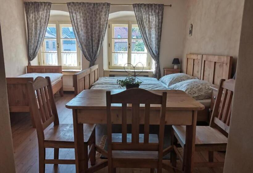 آپارتمان 1 خوابه, Apartmány U Koudelníka