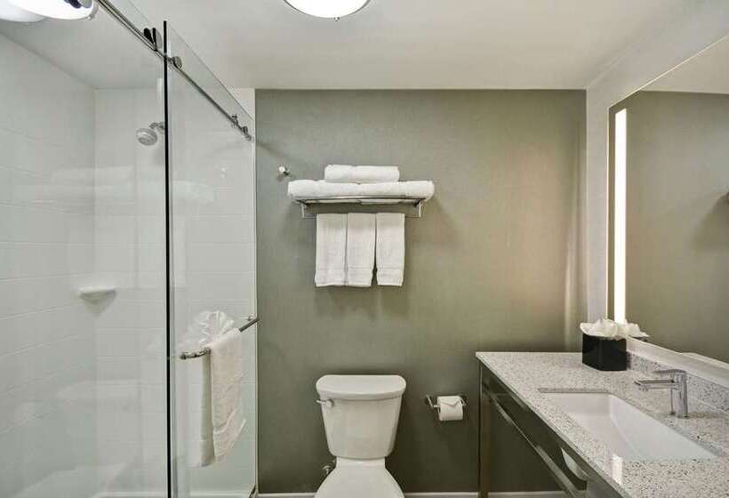 اتاق استاندارد با تخت بزرگ, Tru By Hilton Norfolk Airport