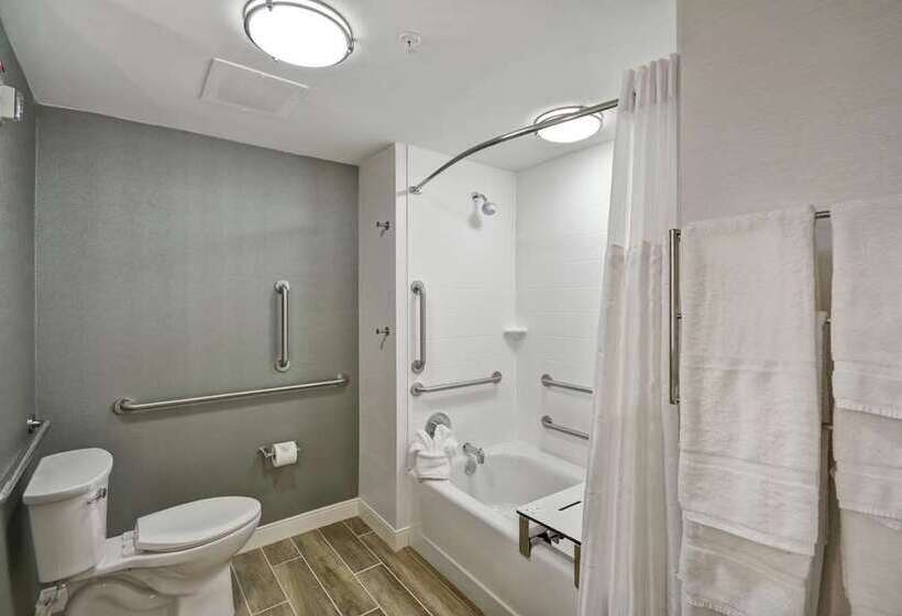 اتاق استاندارد با تخت بزرگ برای معلولان, Tru By Hilton Norfolk Airport
