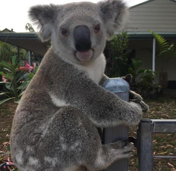 آپارتمان 1 خوابه با چشم‌انداز دریا, Executive Properties In North Ward Townsville And On Magnetic Island