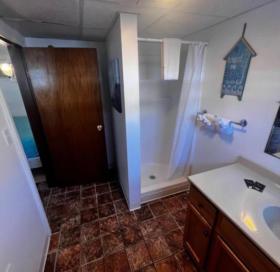 سوئیت با تخت بزرگ, Green Dolphin Motel