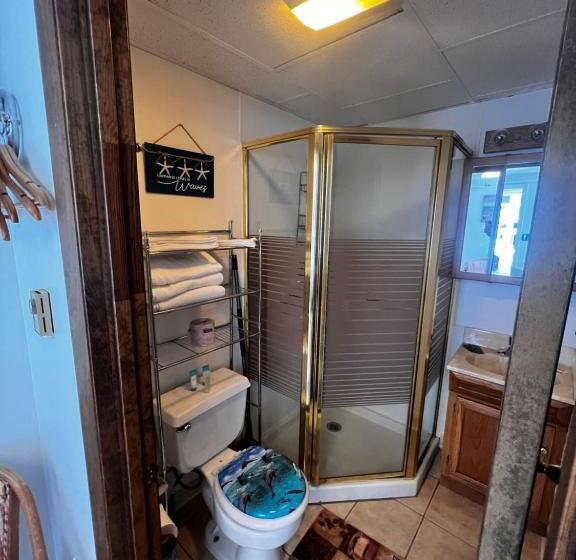 استودیو خانوادگی, Green Dolphin Motel