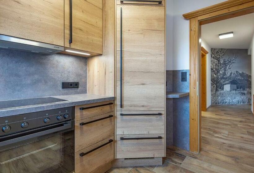 آپارتمان 1 خوابه همکف, Gästehaus Brantlhof Zimmer Und Ferienwohnungen In Going Am Wilden Kaiser