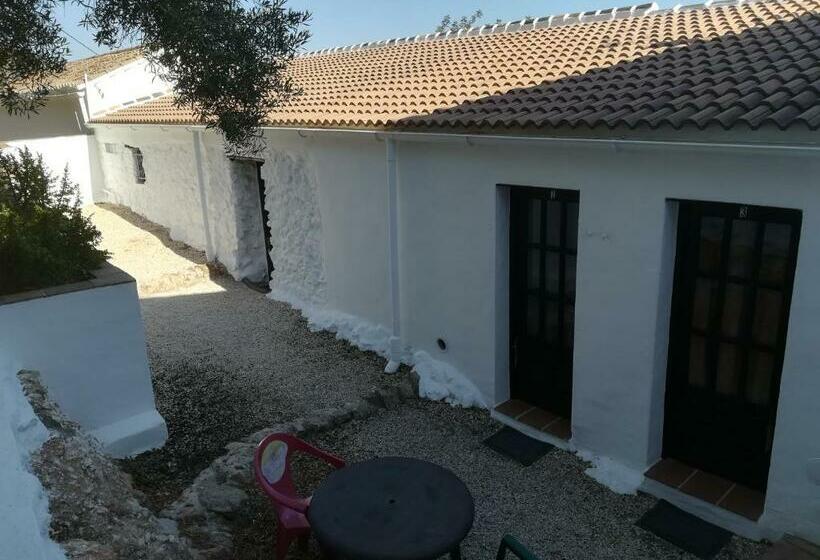 标准间, Olive Branch El Chorro