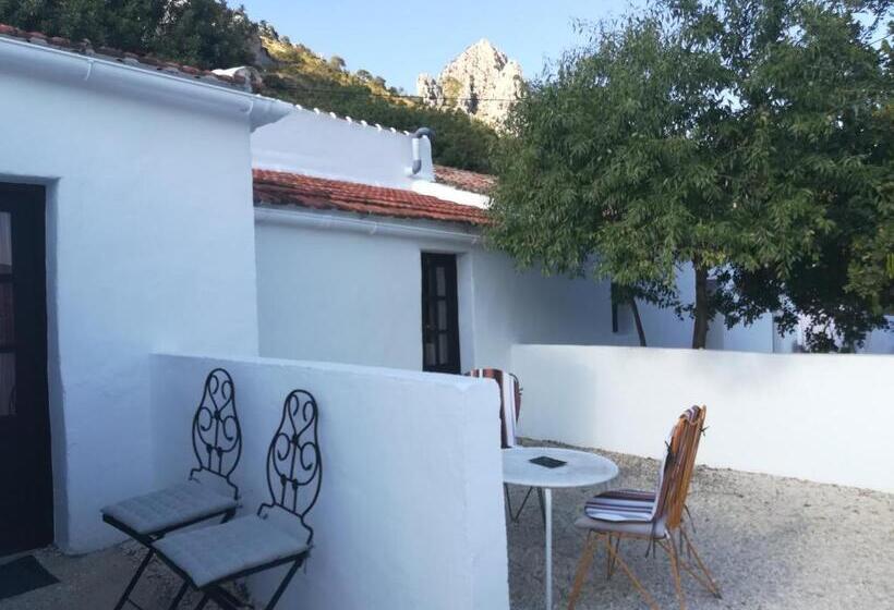 家庭间, Olive Branch El Chorro