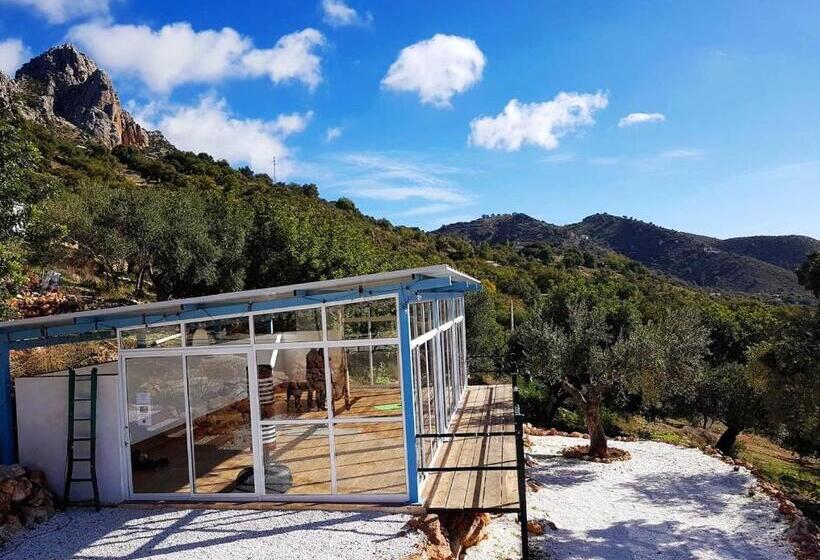 标准间, Olive Branch El Chorro
