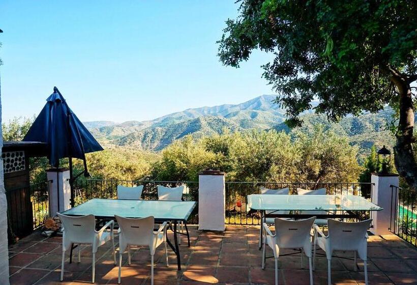 اتاق خانوادگی, Olive Branch El Chorro