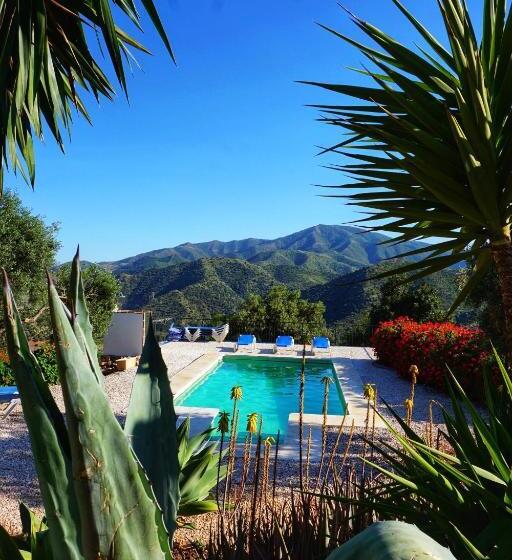 家庭间, Olive Branch El Chorro