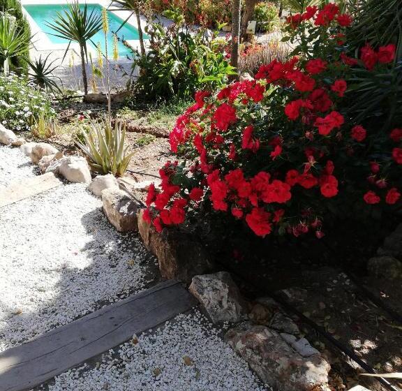 带1个卧室的公寓, Olive Branch El Chorro