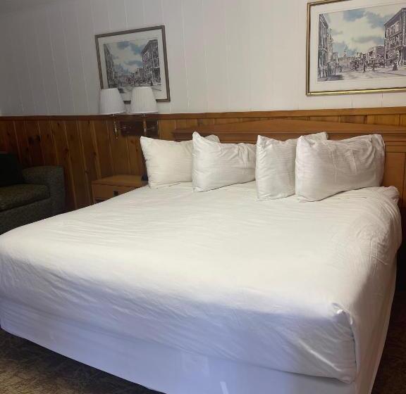 اتاق استاندارد با تخت بزرگ, Saddle & Surrey Motel