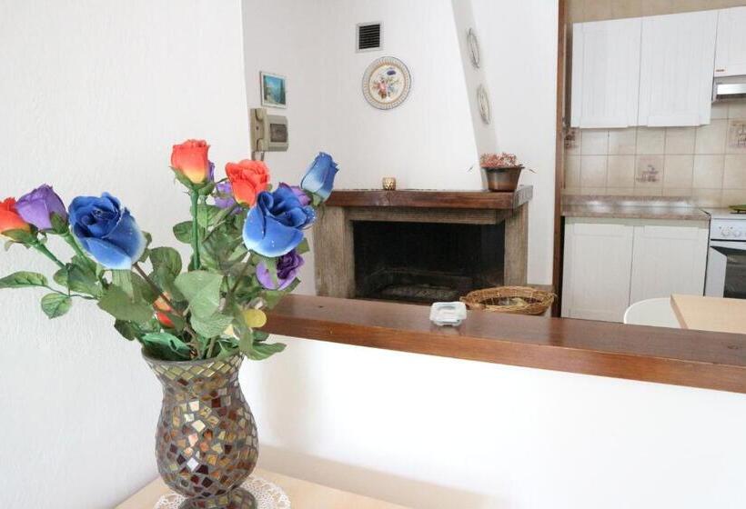 آپارتمان 1 خوابه با چشم‌انداز باغ, B&b Casa Elena Room And Apartments With Parking