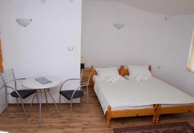 استودیوی استاندارد, Guest House Sokratovi