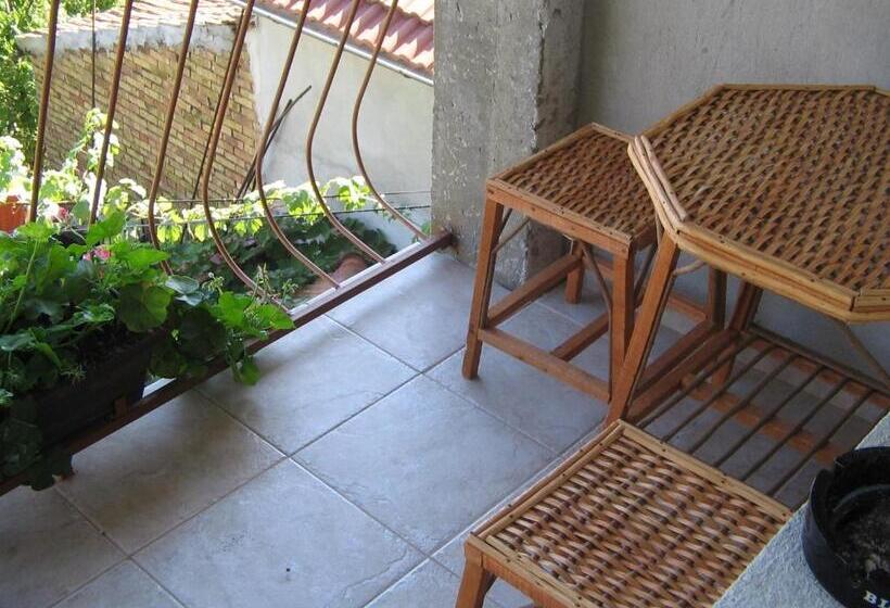 استودیوی استاندارد, Guest House Sokratovi