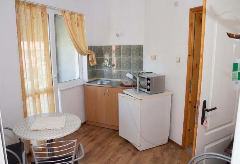 استودیوی استاندارد, Guest House Sokratovi
