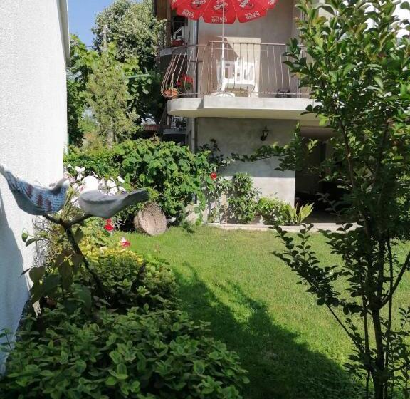 اتاق استاندارد با تراس, Guest House Sokratovi