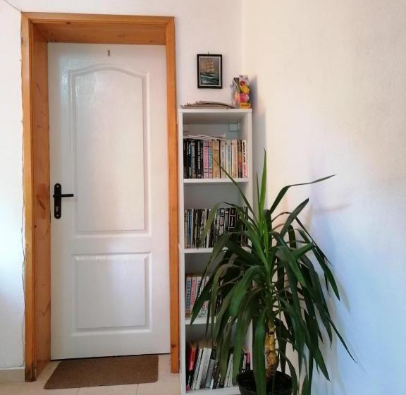 استودیوی استاندارد, Guest House Sokratovi