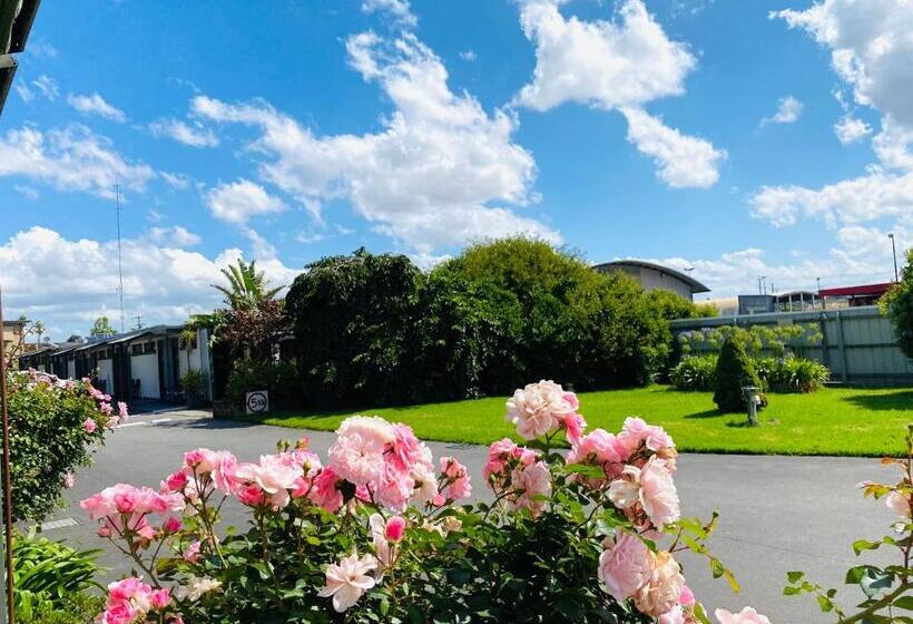 اتاق اکونومی, Mid Valley Motel