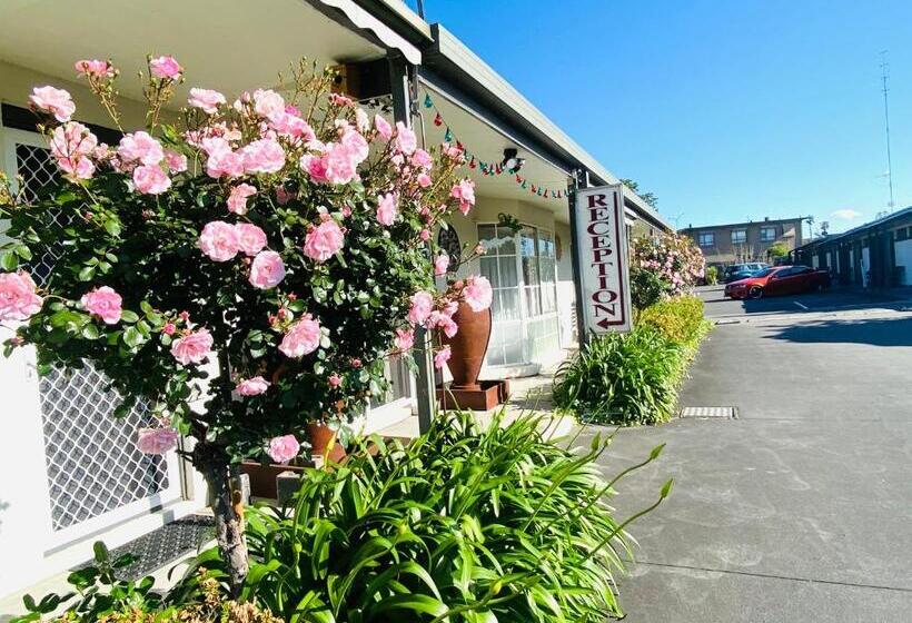 اتاق اکونومی, Mid Valley Motel