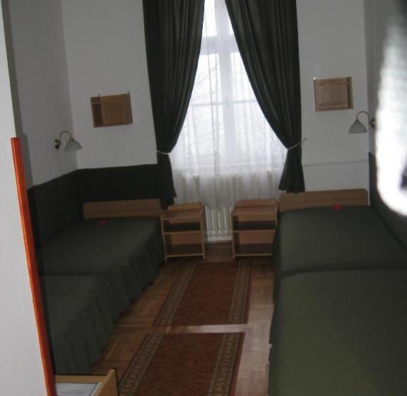 اتاق استاندارد چهار تخته, Mater Salvatoris House