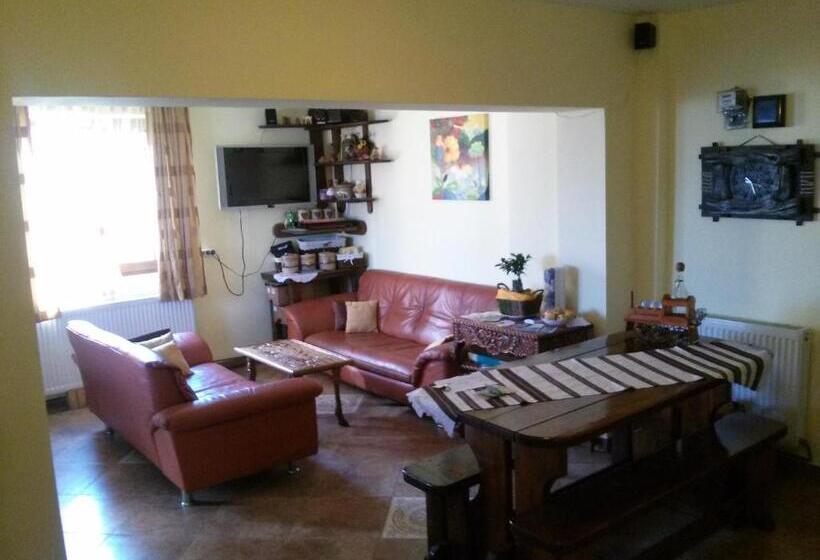 خانه 1 خوابه, Vila Dariana