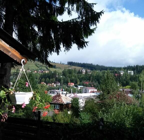 خانه 1 خوابه, Vila Dariana