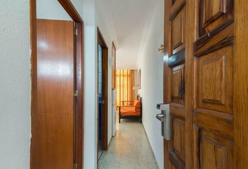 آپارتمان 1 خوابه, Apartamentos Amazonas