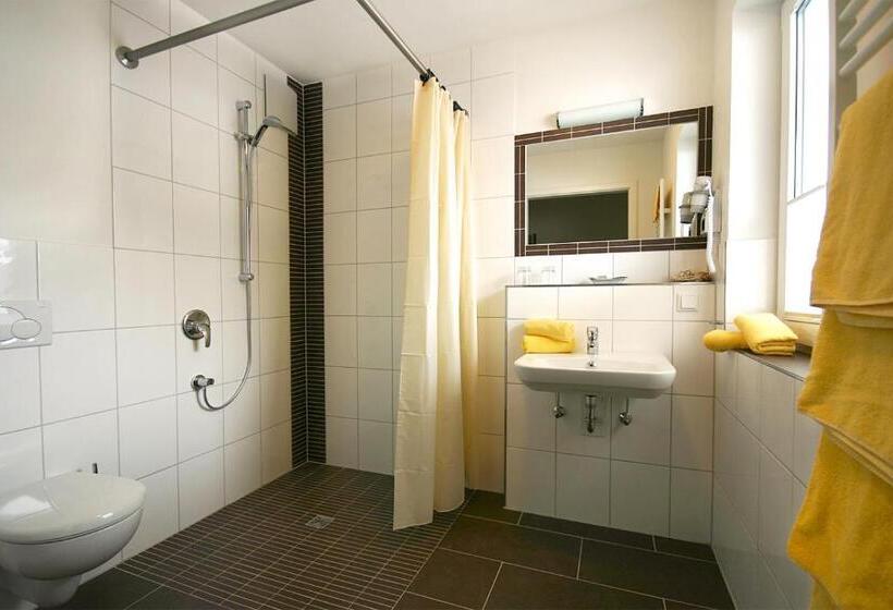 آپارتمان 1 خوابه, Alm Appartements Ehemals Birkenhof