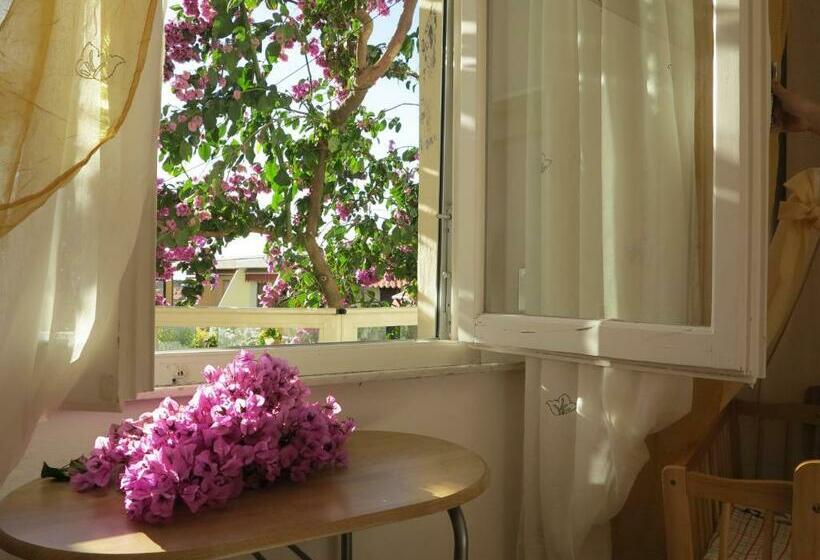 اتاق استاندارد, Casamare