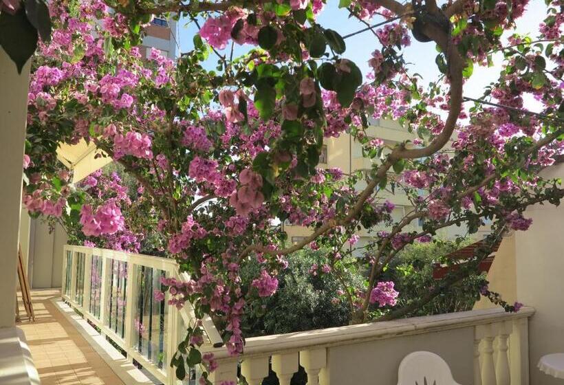 اتاق استاندارد چهار تخته, Casamare