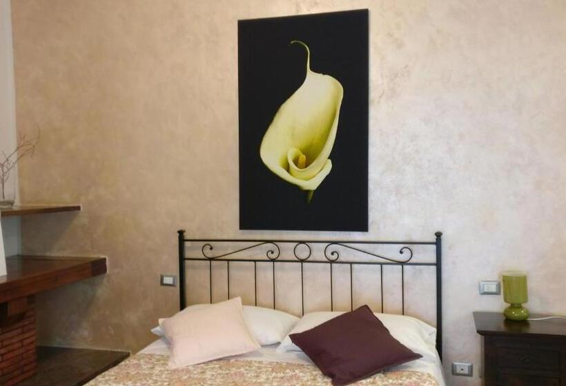 اتاق استاندارد چهار تخته, Casamare