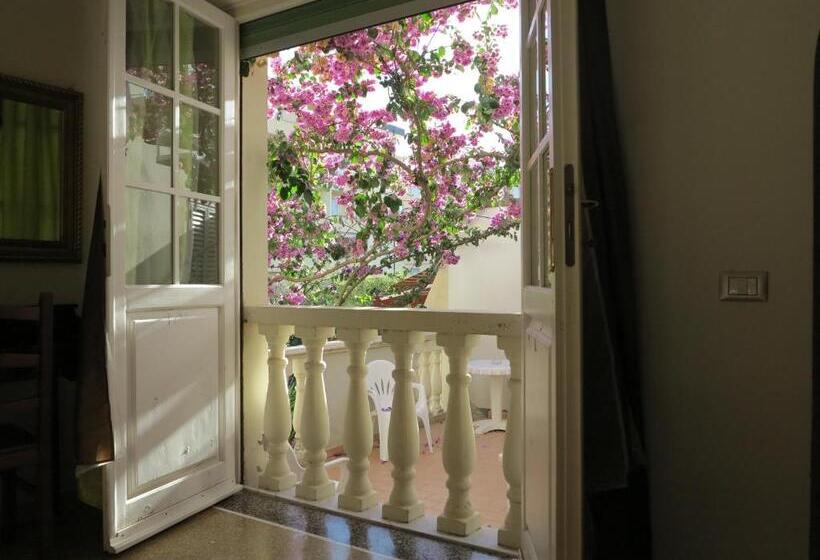 اتاق استاندارد چهار تخته, Casamare