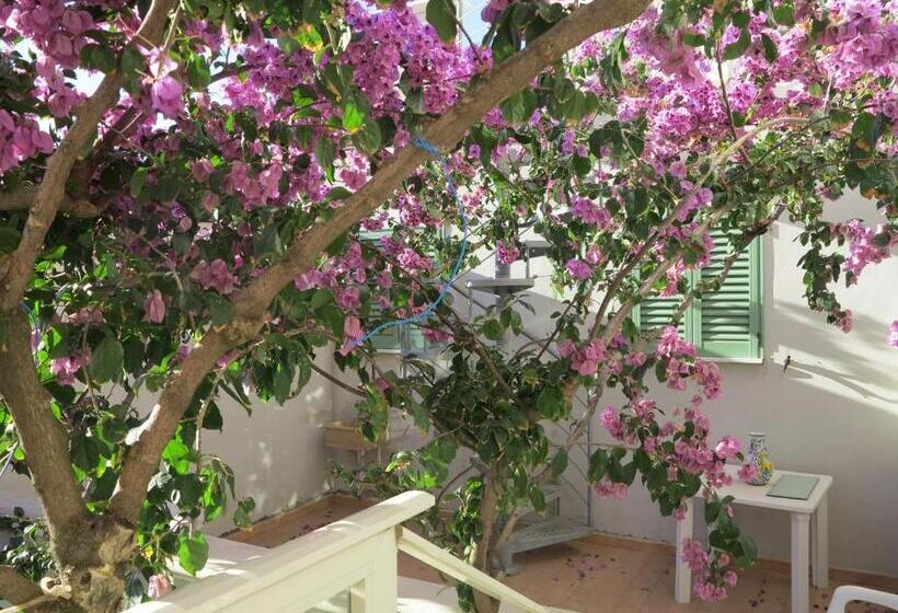 اتاق استاندارد چهار تخته, Casamare