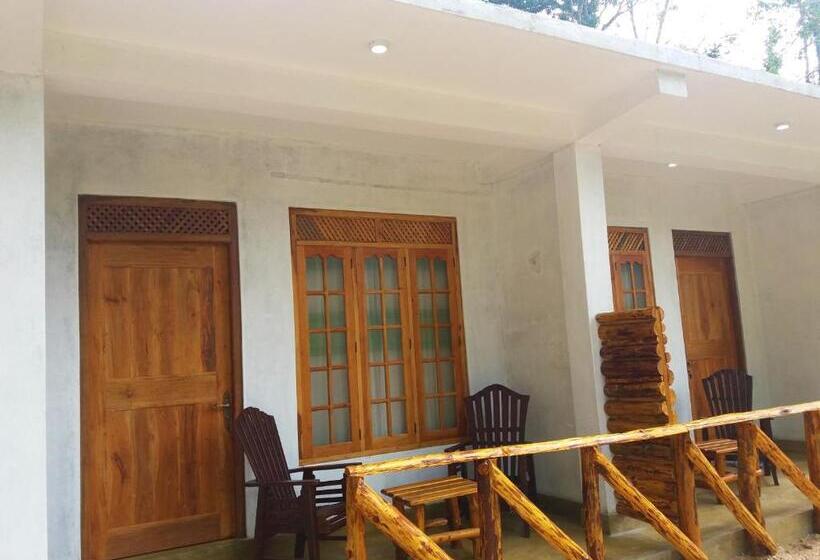 اتاق استاندارد, Dinaro Guest