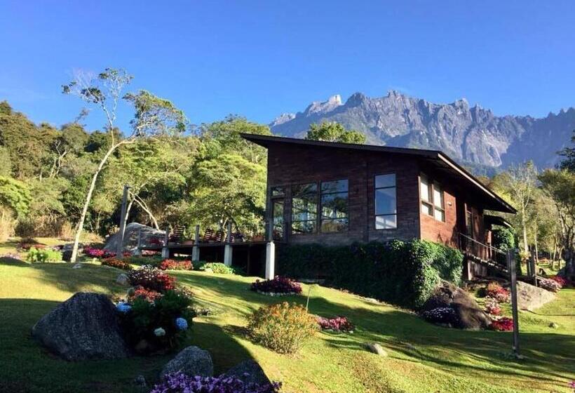سوئیت با بالکن, Spring Garden