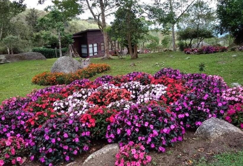 سوئیت با بالکن, Spring Garden
