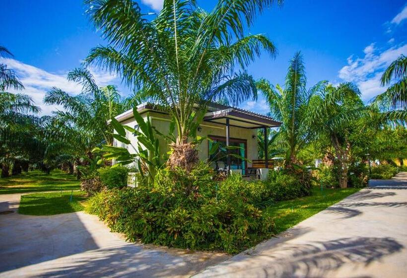 اتاق استاندارد, Palm Pran Resort