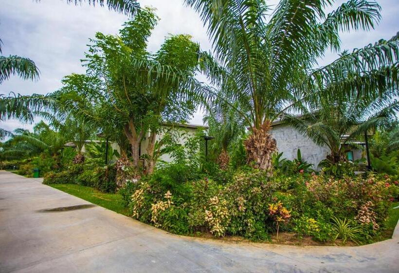 اتاق استاندارد, Palm Pran Resort