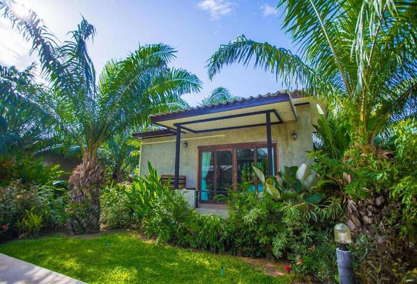 اتاق استاندارد, Palm Pran Resort