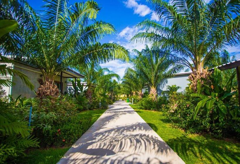 اتاق استاندارد, Palm Pran Resort