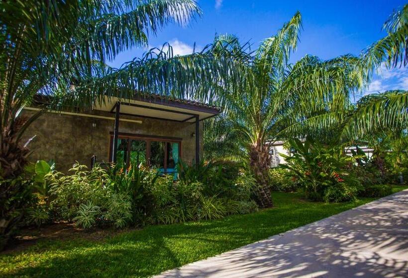 اتاق استاندارد چهار تخته, Palm Pran Resort